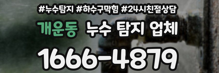 개운동 누수 탐지 업체