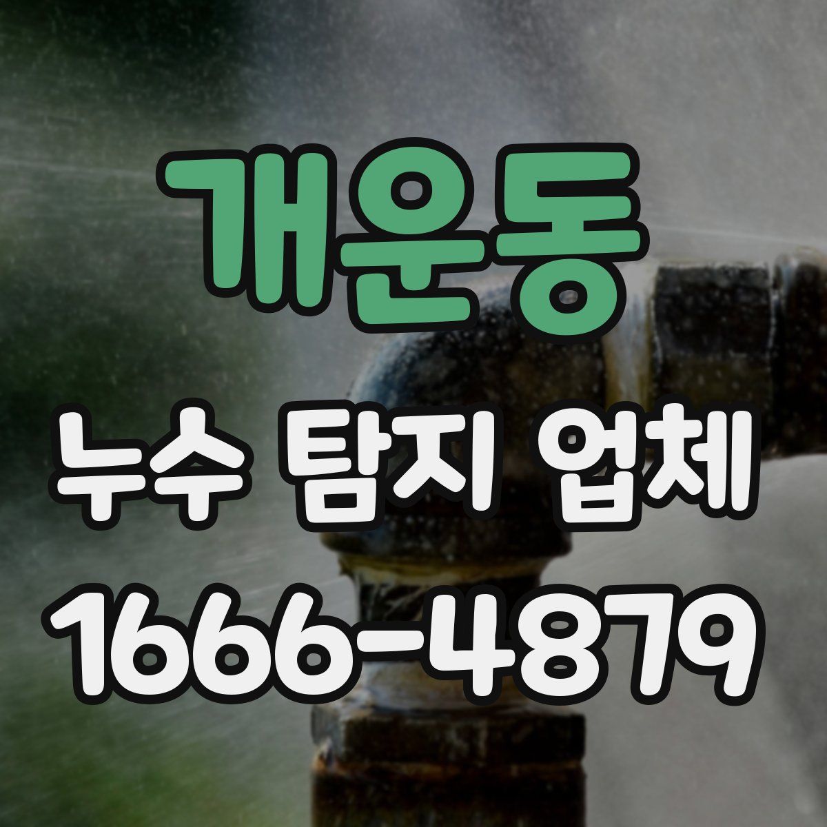 개운동 누수 탐지 업체