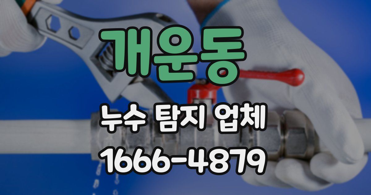 개운동 누수 탐지 업체