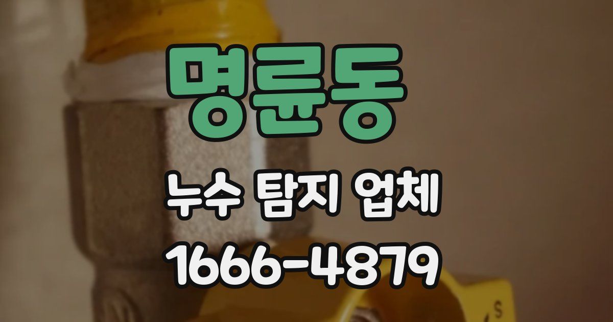 명륜동 누수 탐지 업체