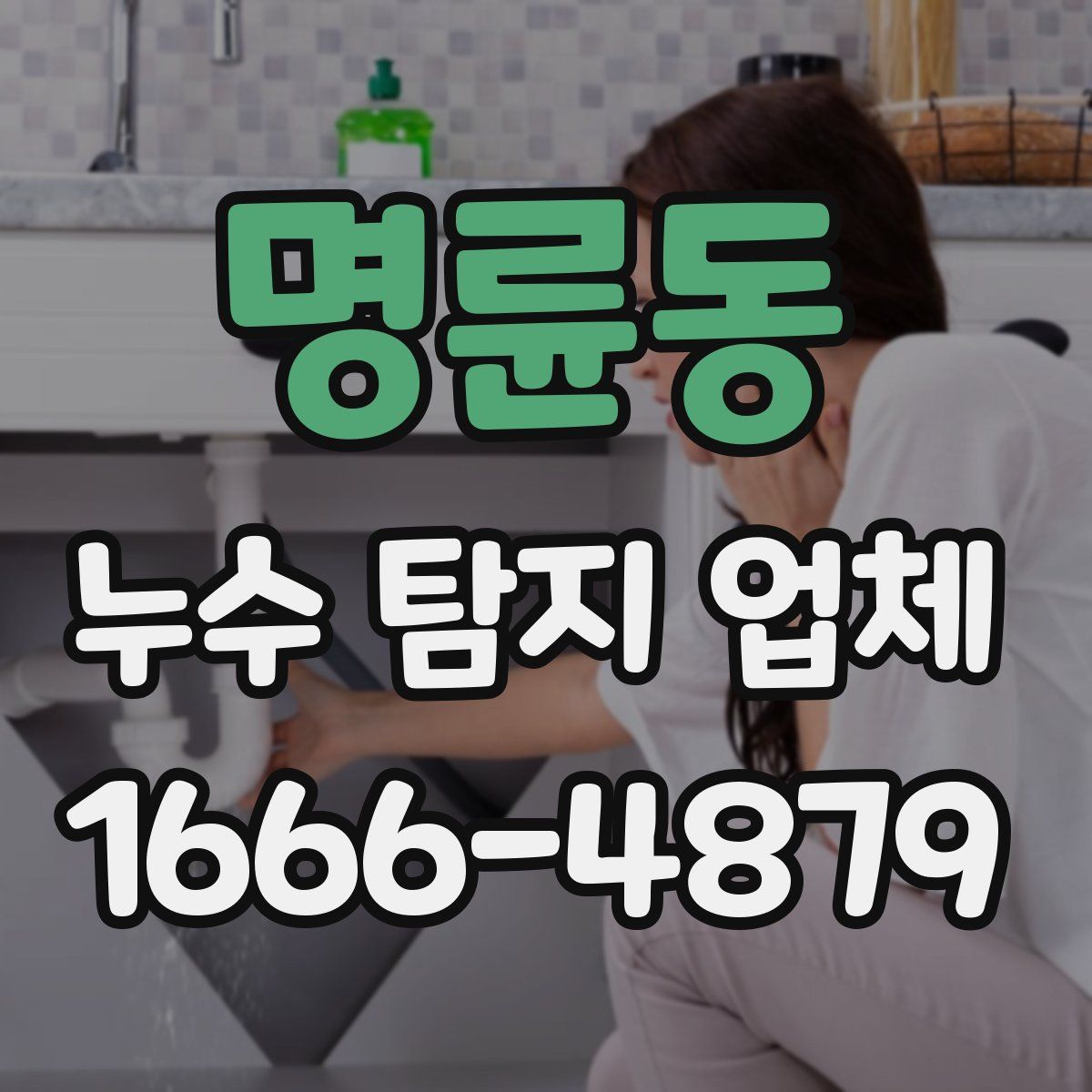 명륜동 누수 탐지 업체