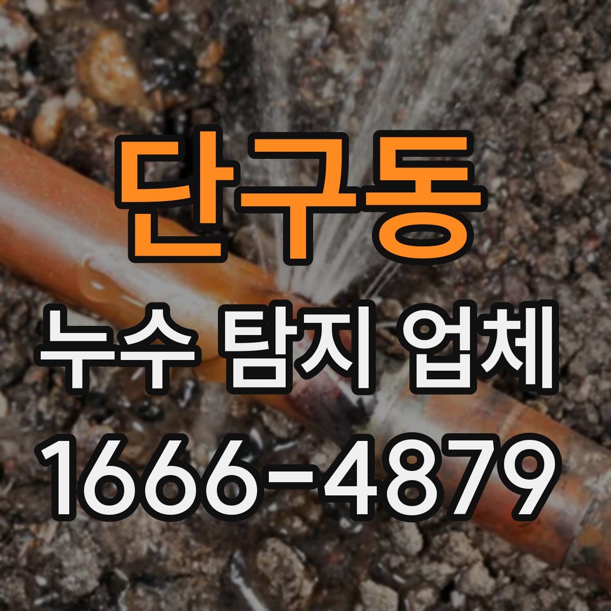 단구동 누수 탐지 업체