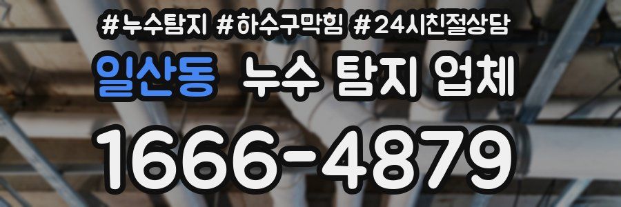 일산동 누수 탐지 업체