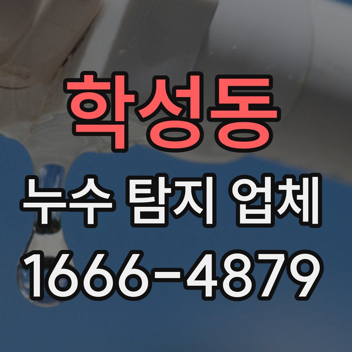 학성동 누수 탐지 업체