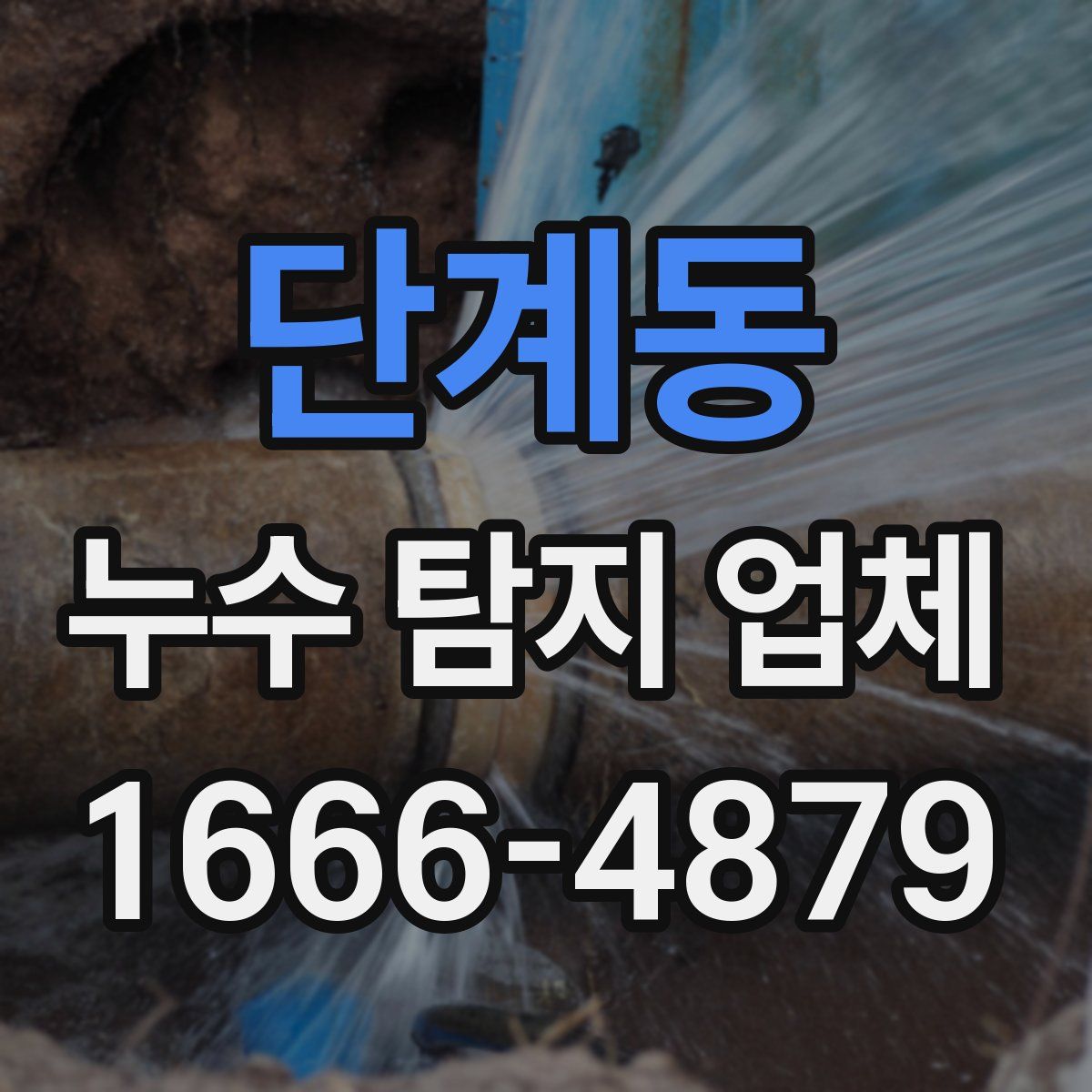 단계동 누수 탐지 업체