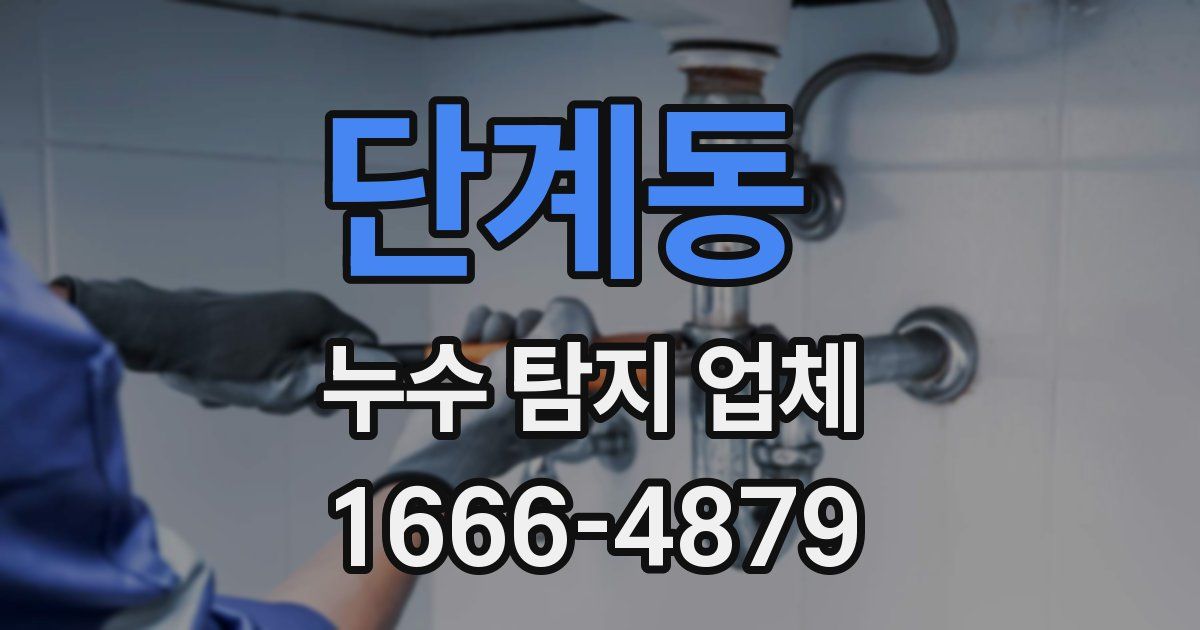 단계동 누수 탐지 업체