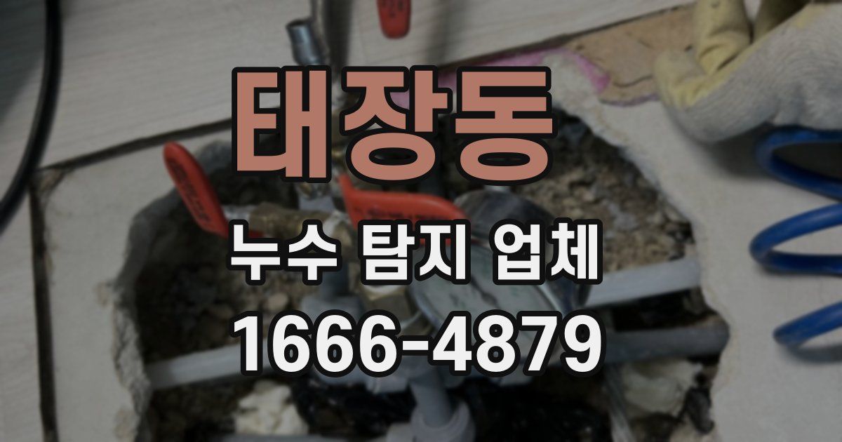 태장동 누수 탐지 업체
