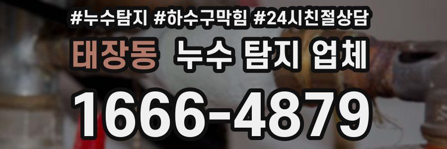 태장동 누수 탐지 업체