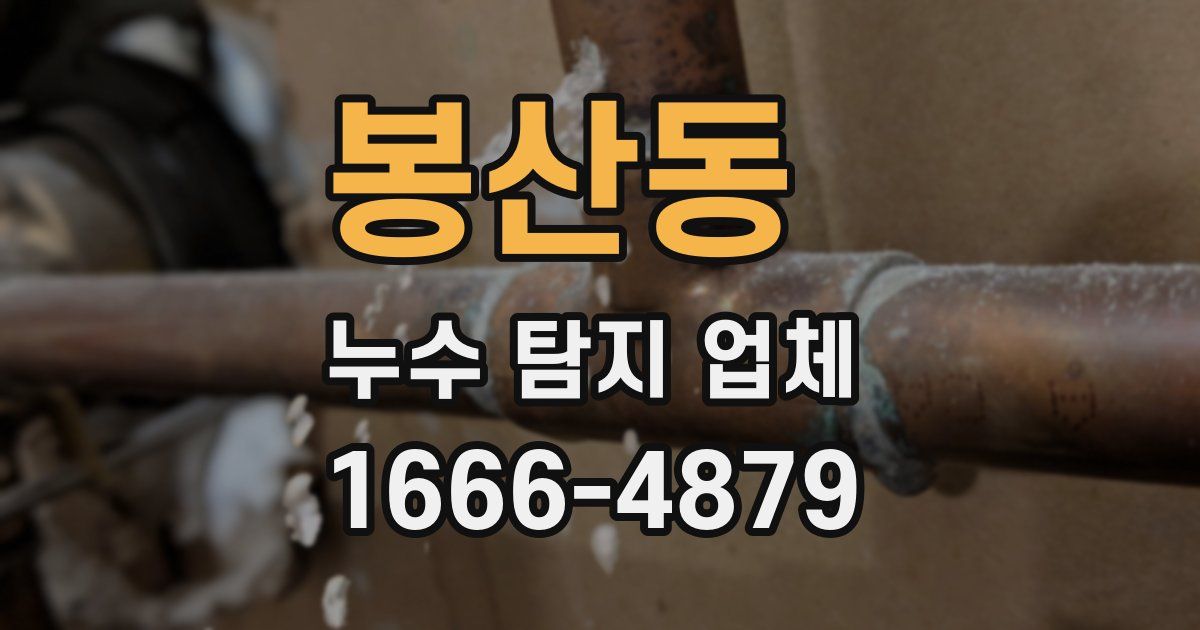 봉산동 누수 탐지 업체