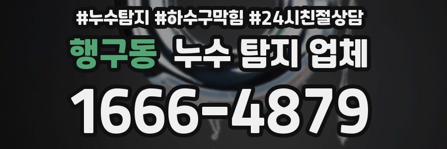 행구동 누수 탐지 업체