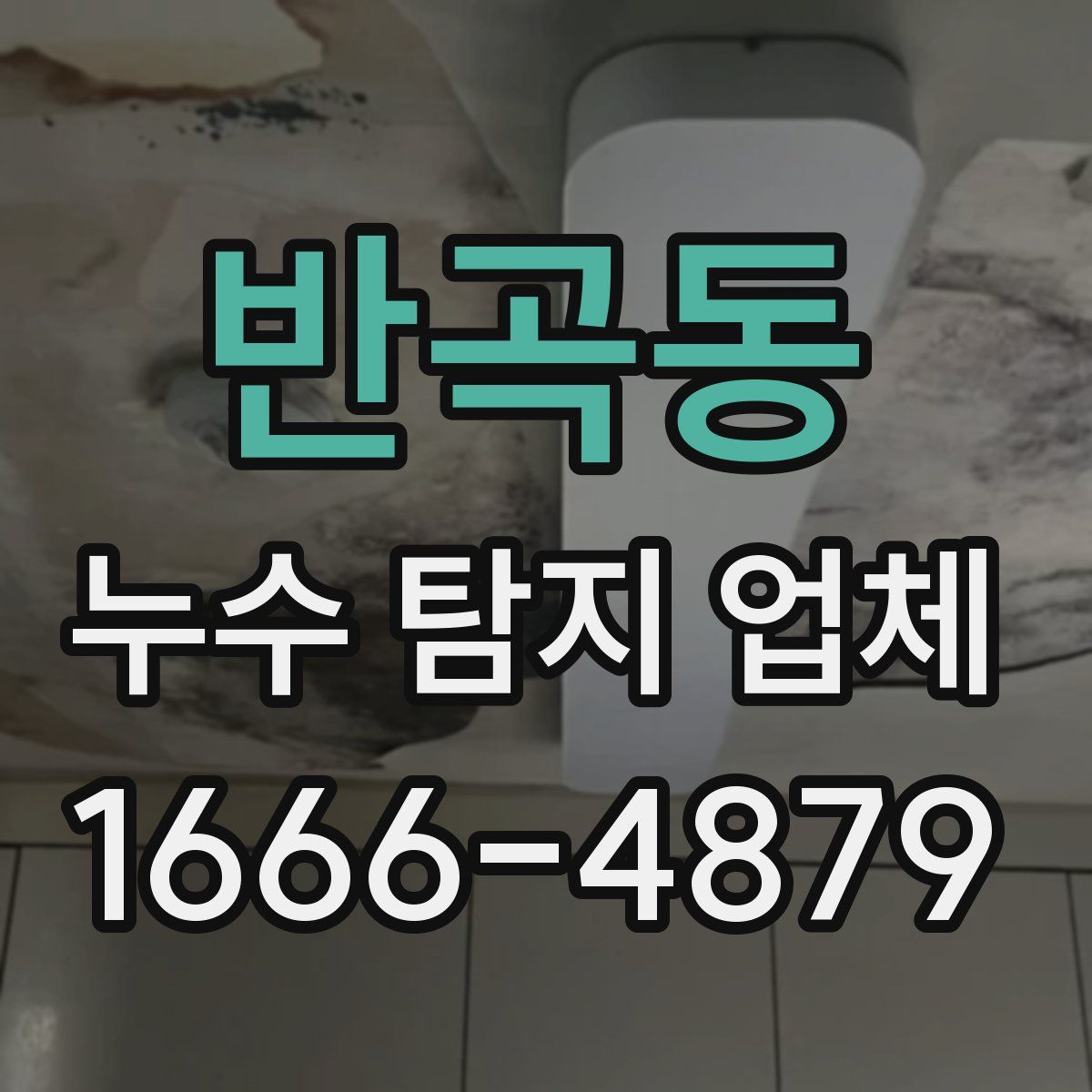 반곡동 누수 탐지 업체