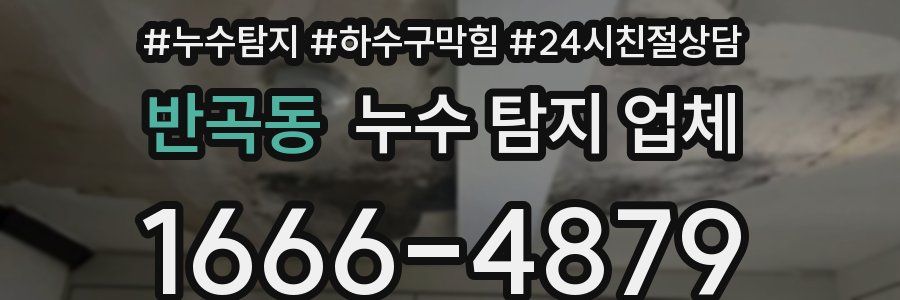 반곡동 누수 탐지 업체