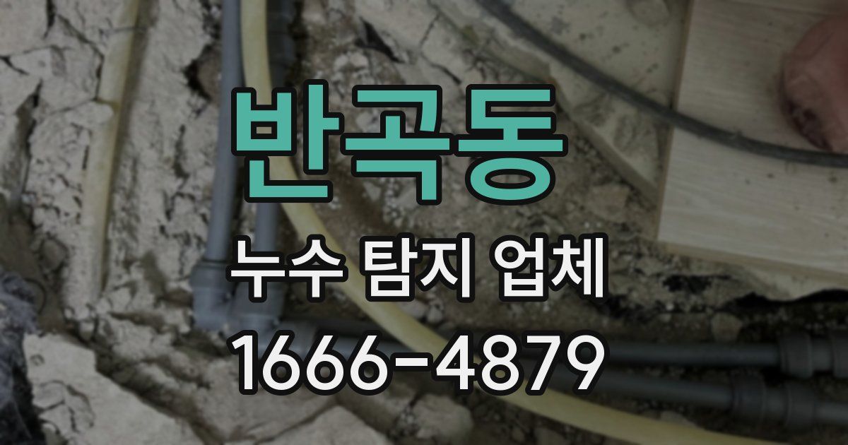 반곡동 누수 탐지 업체
