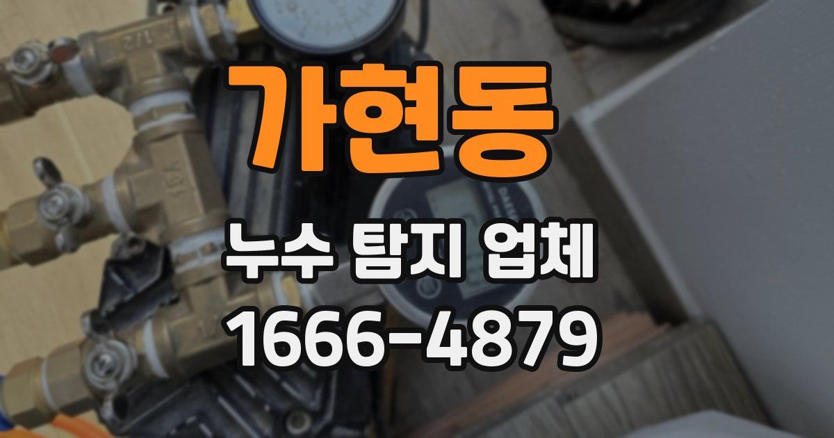 가현동 누수 탐지 업체