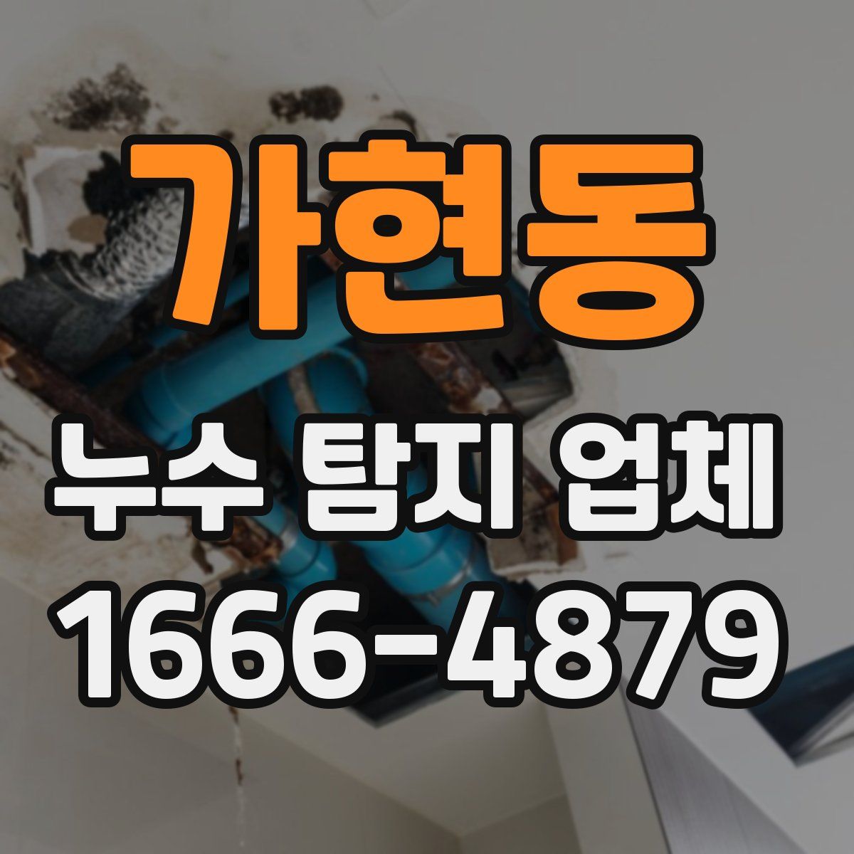 가현동 누수 탐지 업체