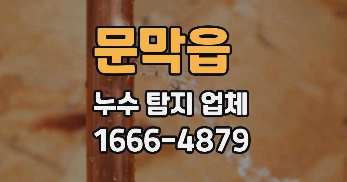 문막읍 누수 탐지 업체