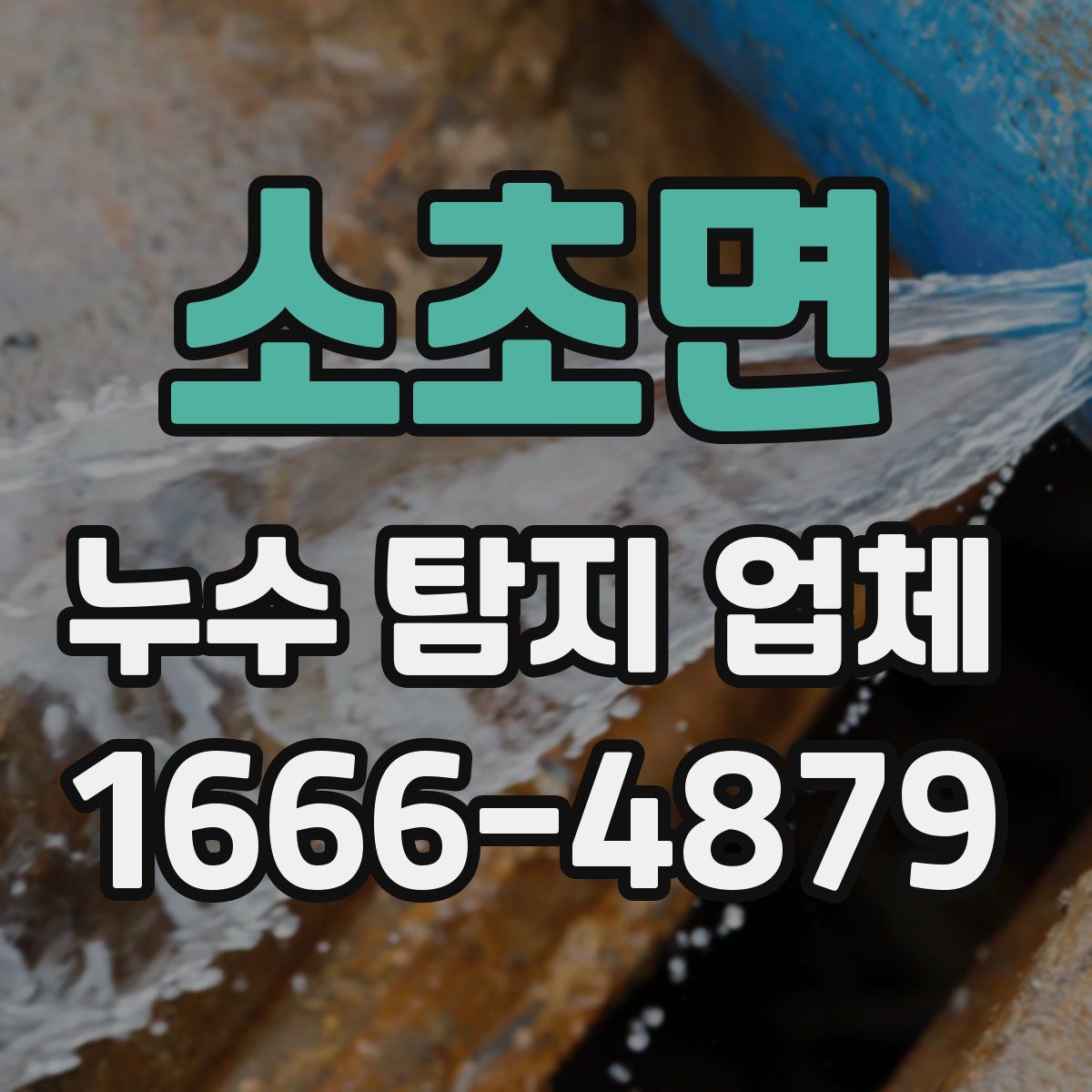 소초면 누수 탐지 업체