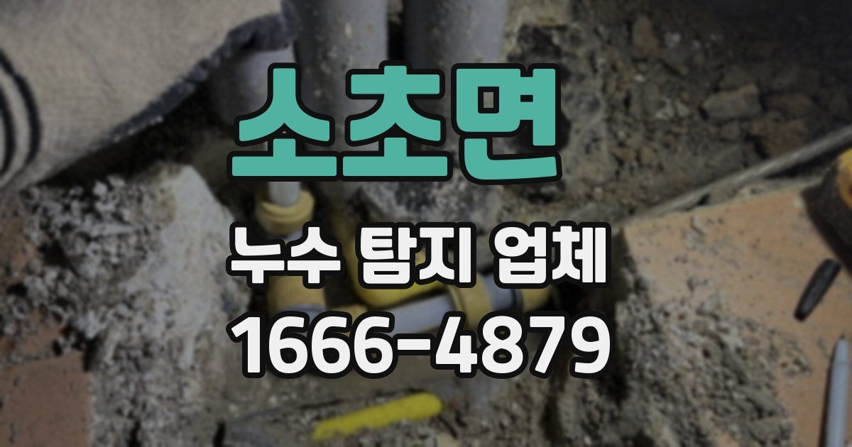 소초면 누수 탐지 업체