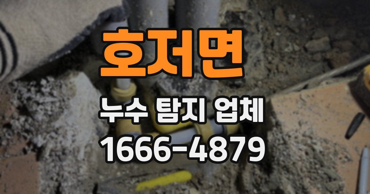호저면 누수 탐지 업체
