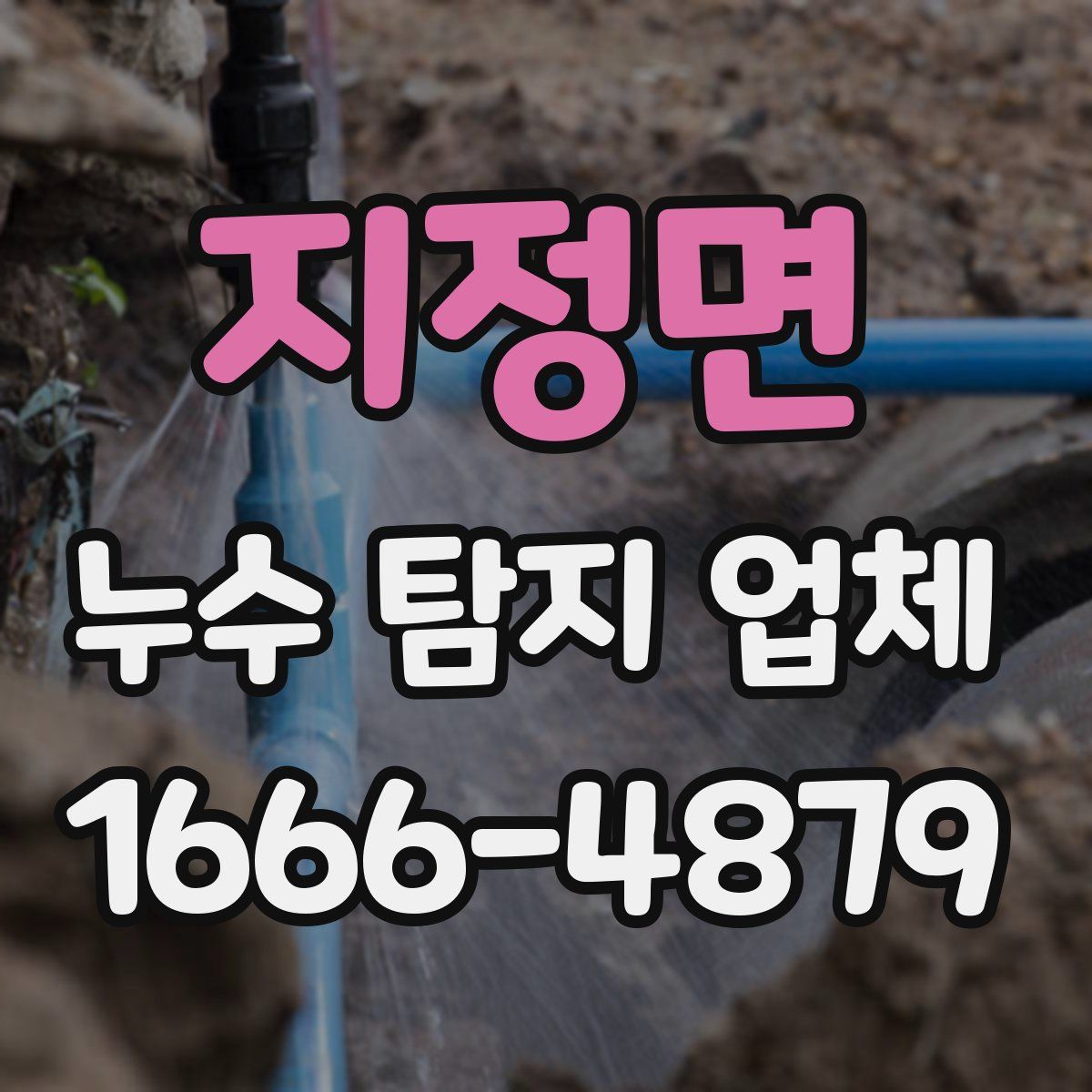지정면 누수 탐지 업체
