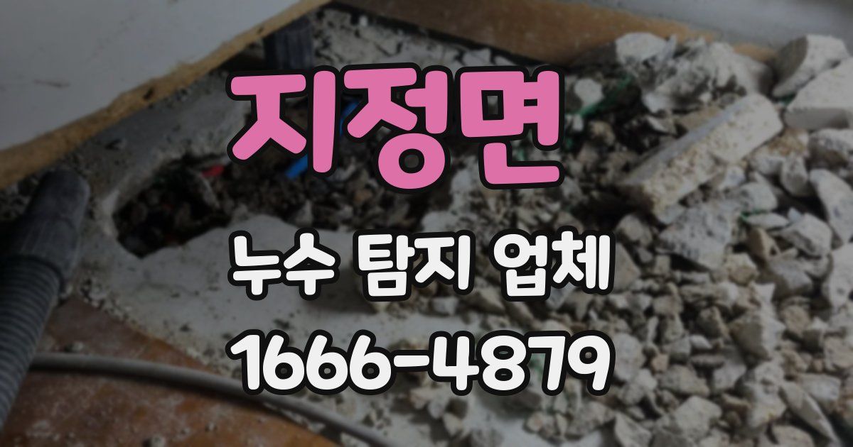 지정면 누수 탐지 업체