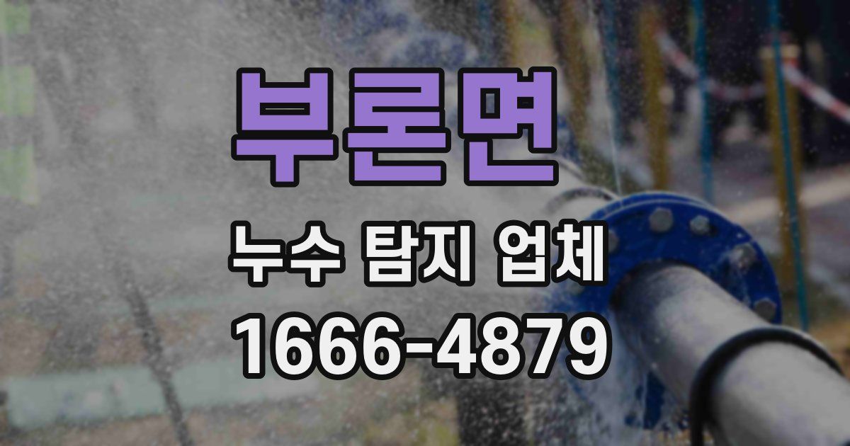 부론면 누수 탐지 업체