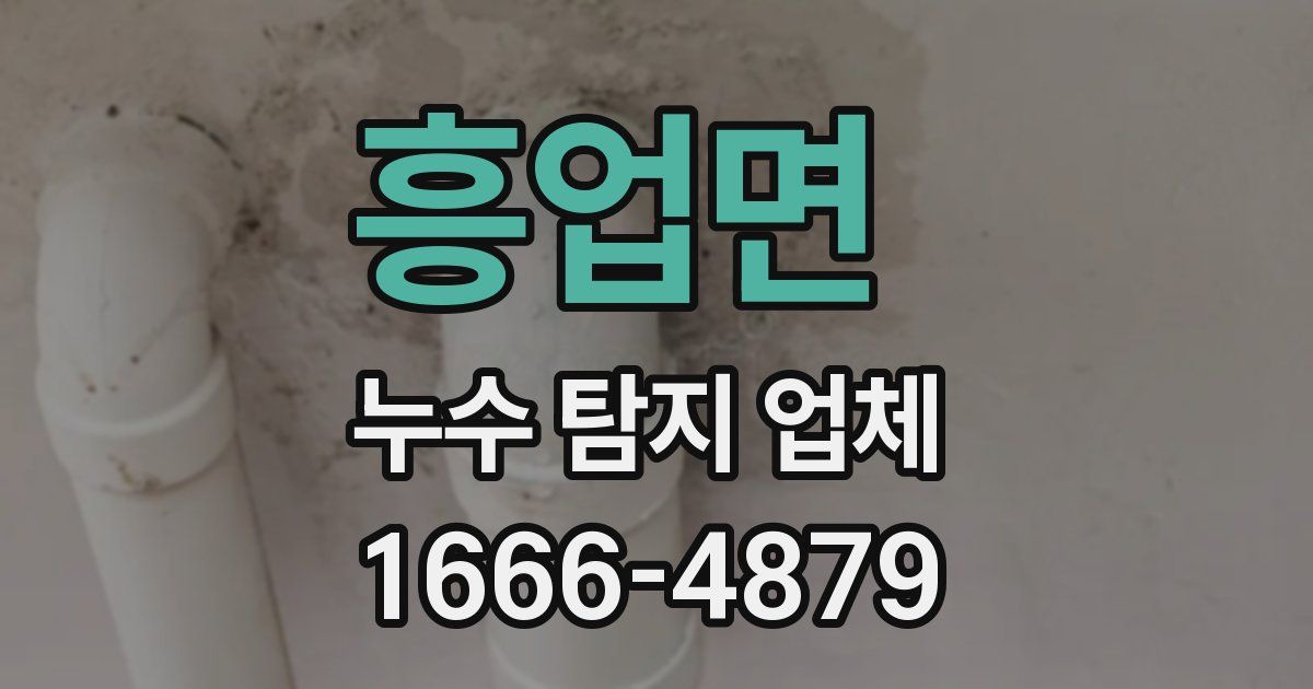 흥업면 누수 탐지 업체