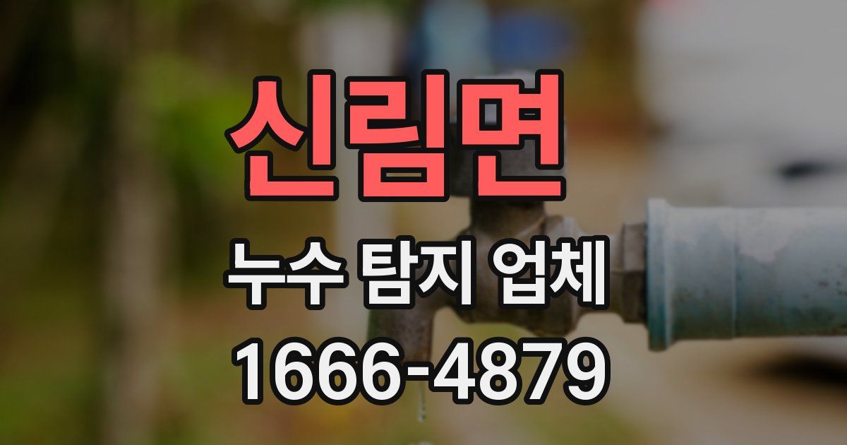 신림면 누수 탐지 업체