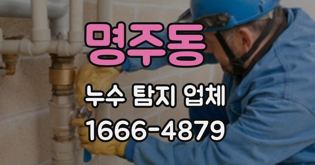 명주동 누수 탐지 업체