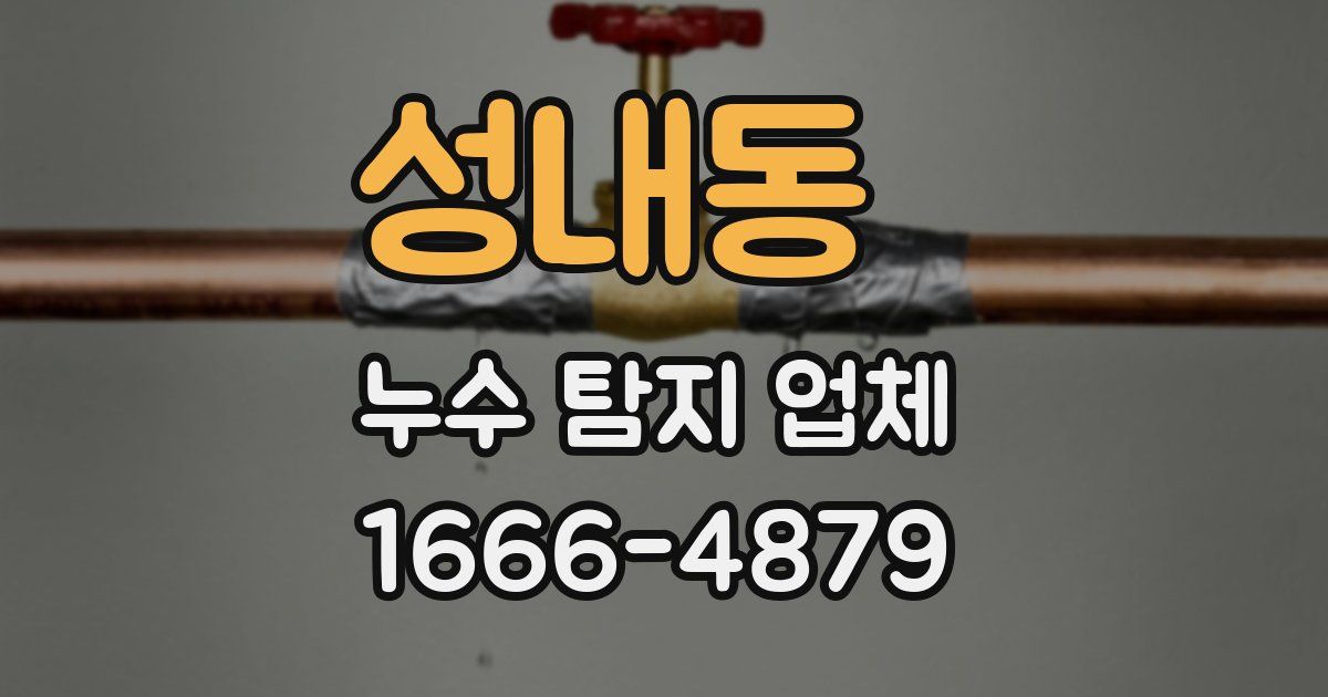 성내동 누수 탐지 업체