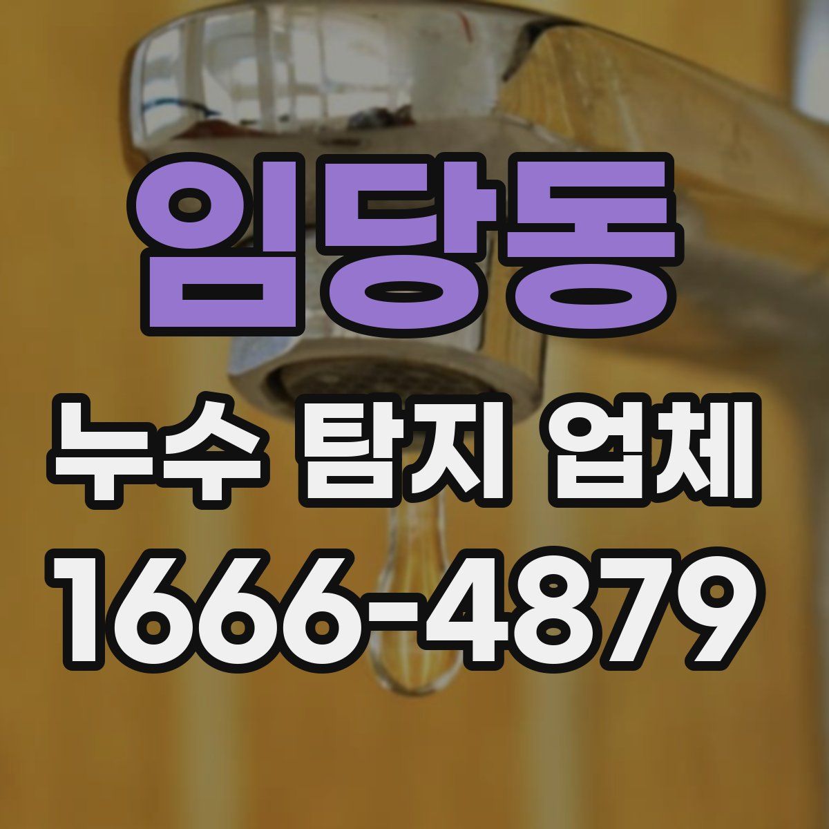 임당동 누수 탐지 업체