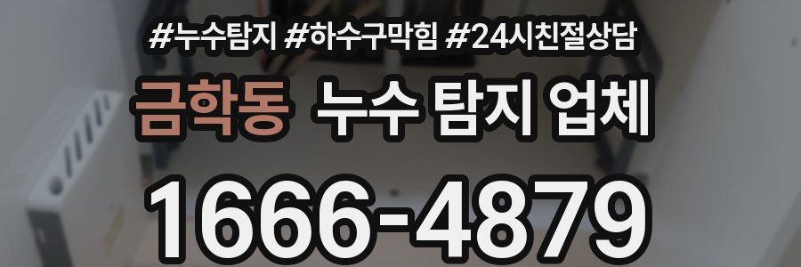 금학동 누수 탐지 업체