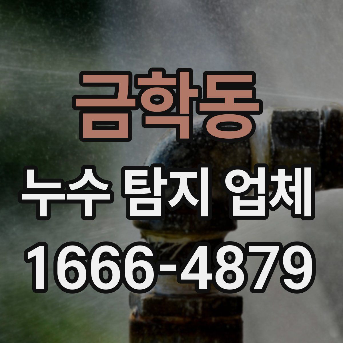 금학동 누수 탐지 업체