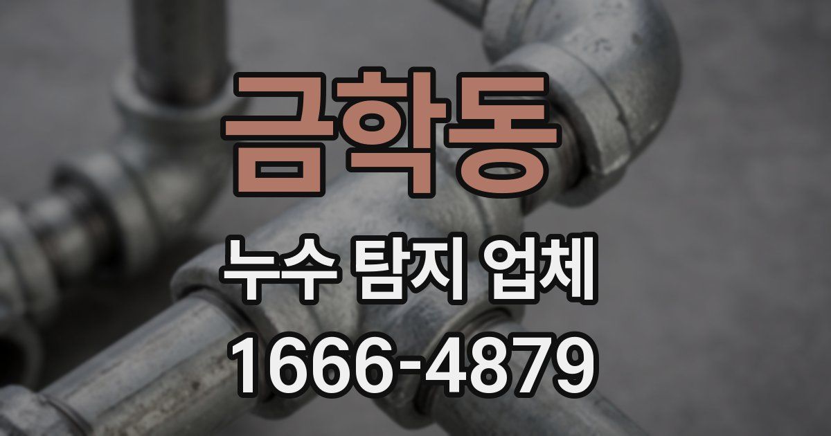 금학동 누수 탐지 업체