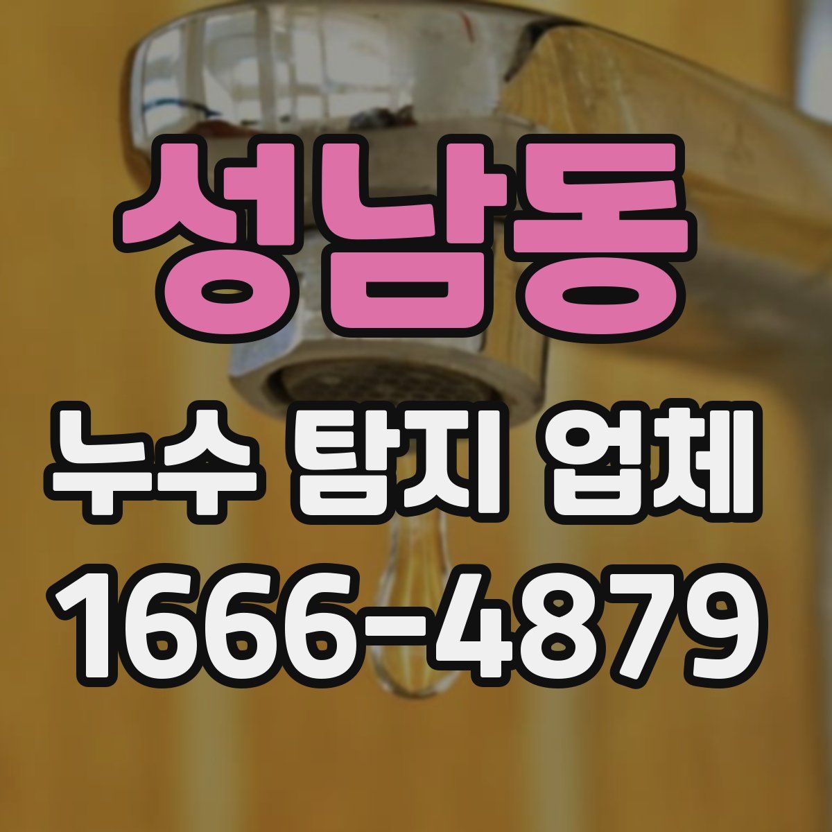 성남동 누수 탐지 업체