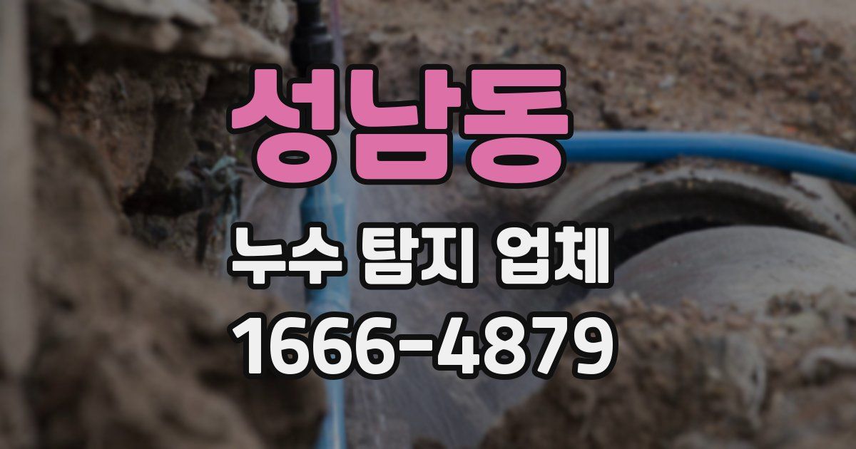 성남동 누수 탐지 업체