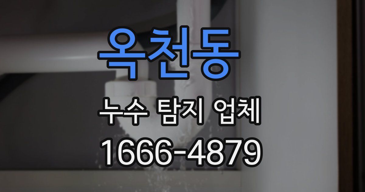 옥천동 누수 탐지 업체