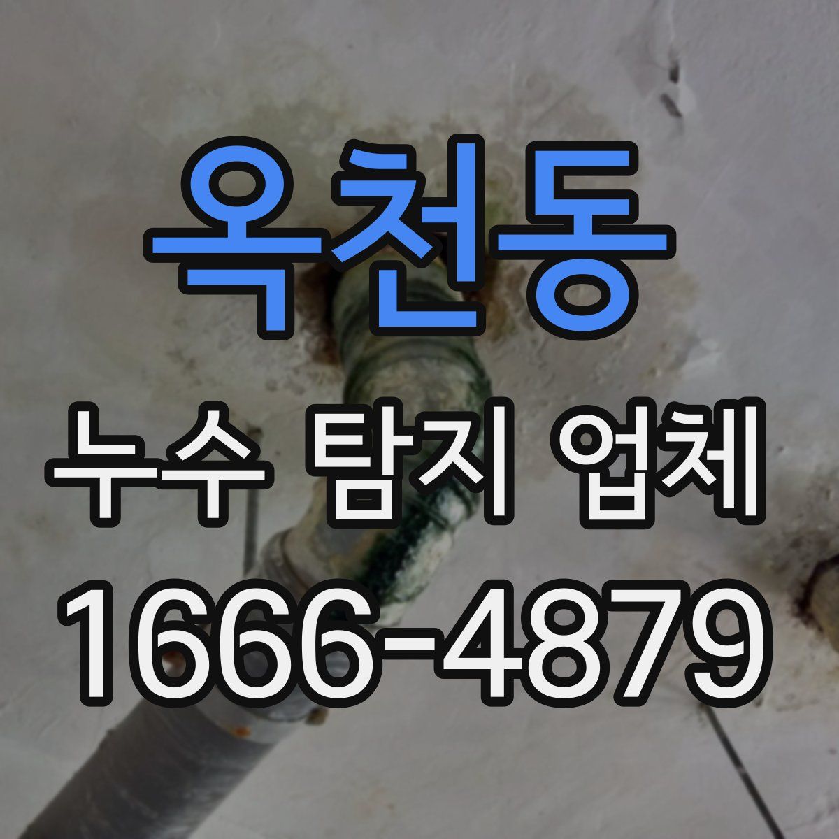 옥천동 누수 탐지 업체