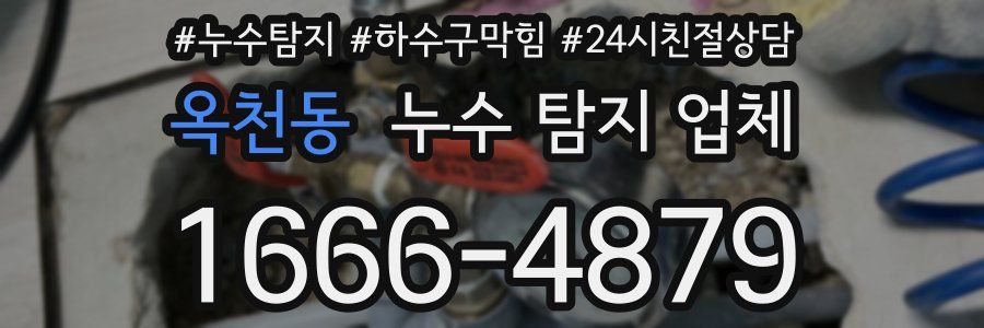 옥천동 누수 탐지 업체