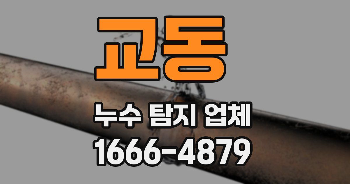 교동 누수 탐지 업체