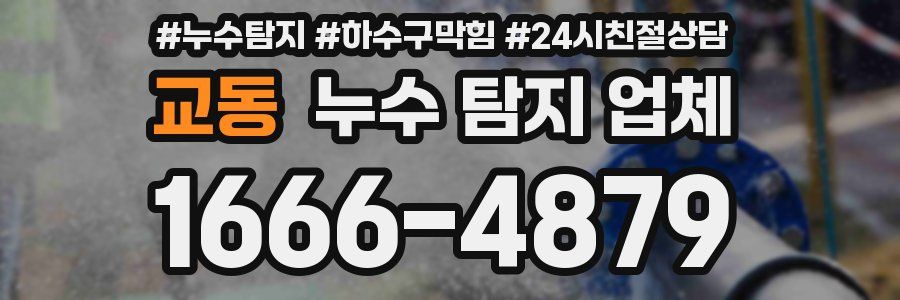 교동 누수 탐지 업체