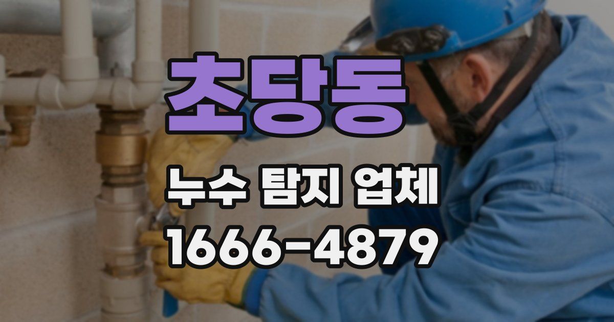 초당동 누수 탐지 업체