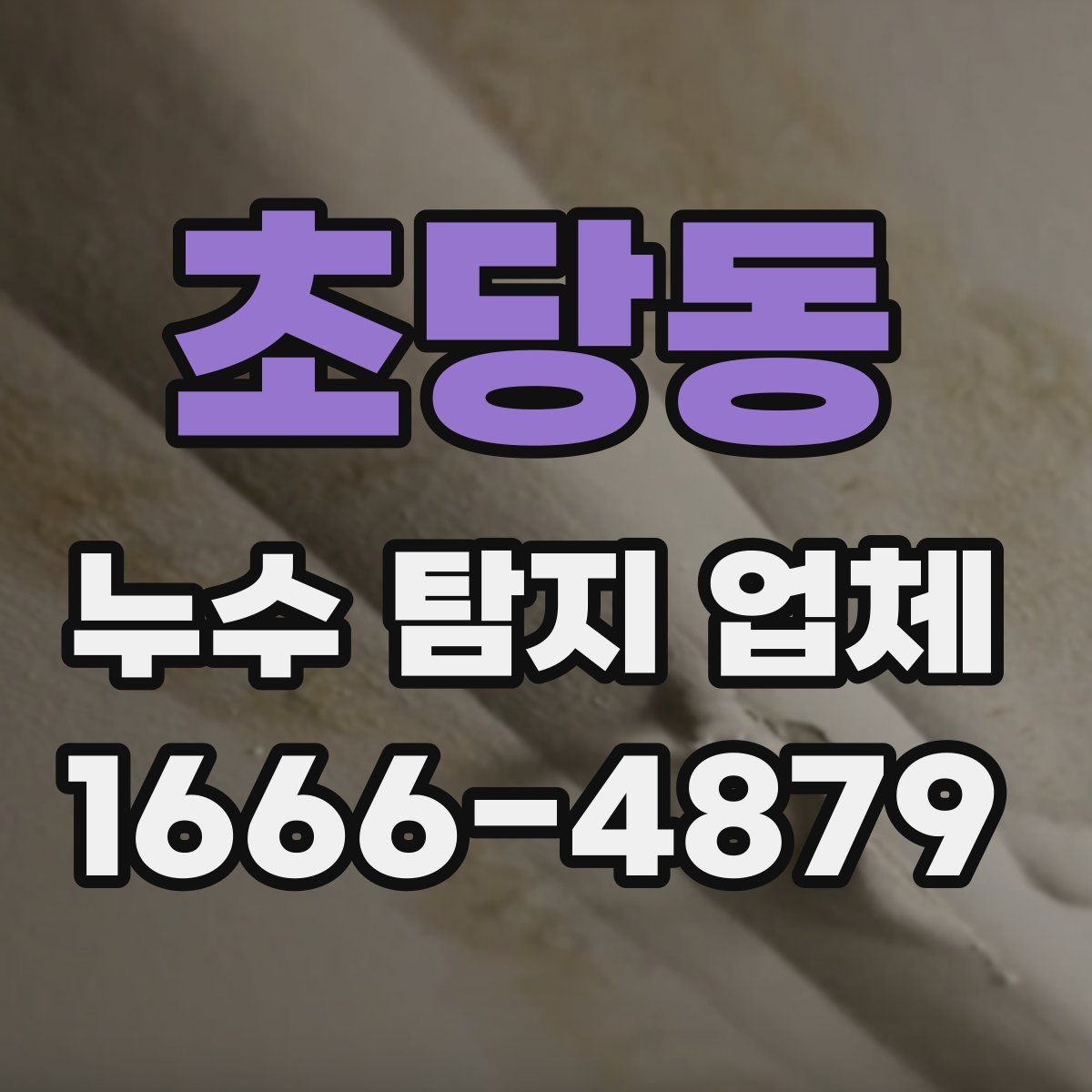 초당동 누수 탐지 업체