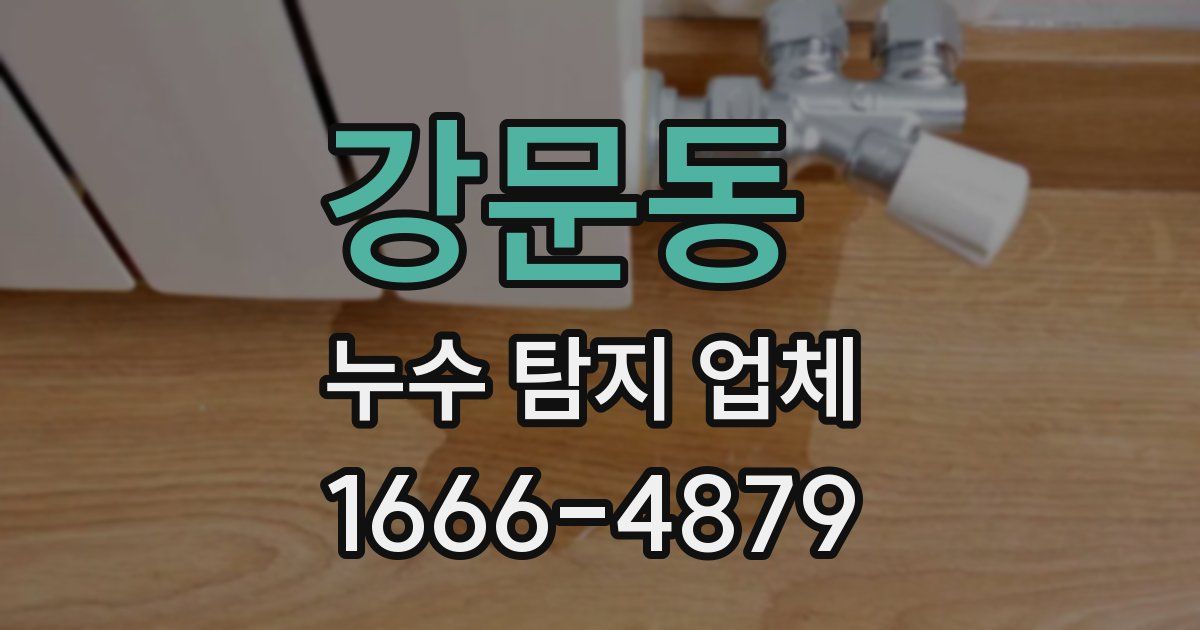 강문동 누수 탐지 업체