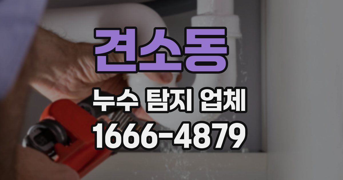 견소동 누수 탐지 업체