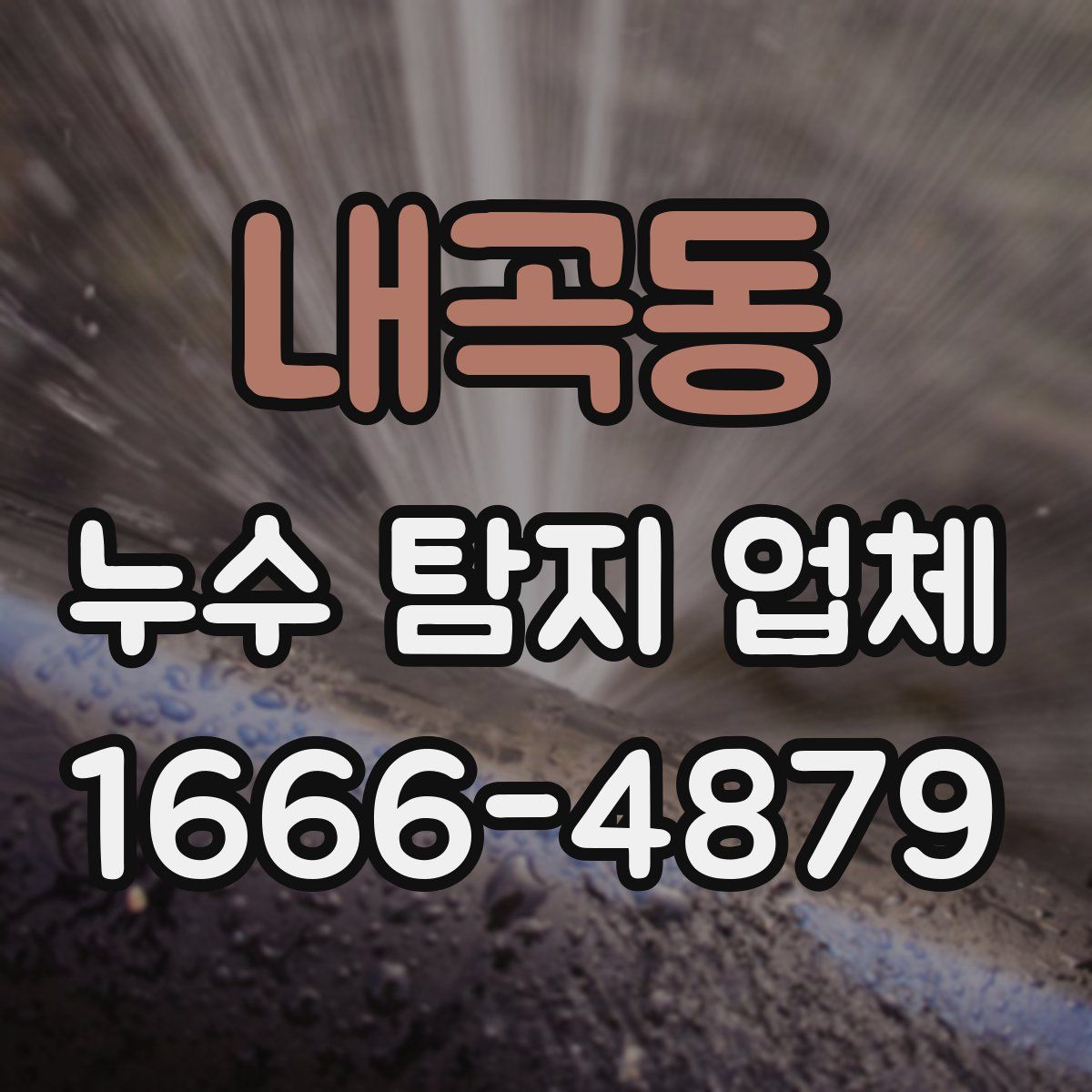 내곡동 누수 탐지 업체