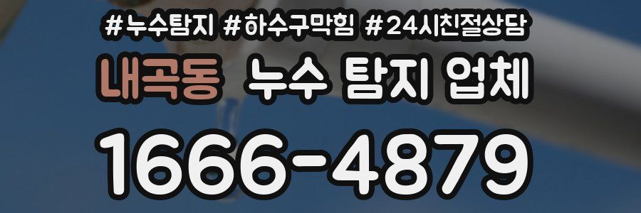 내곡동 누수 탐지 업체
