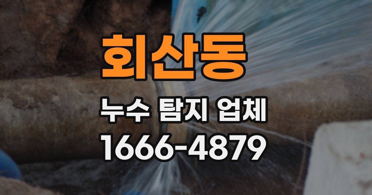 회산동 누수 탐지 업체