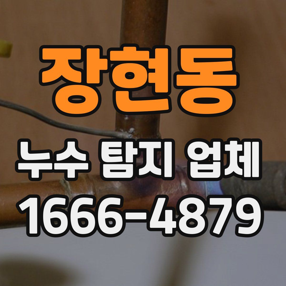 장현동 누수 탐지 업체