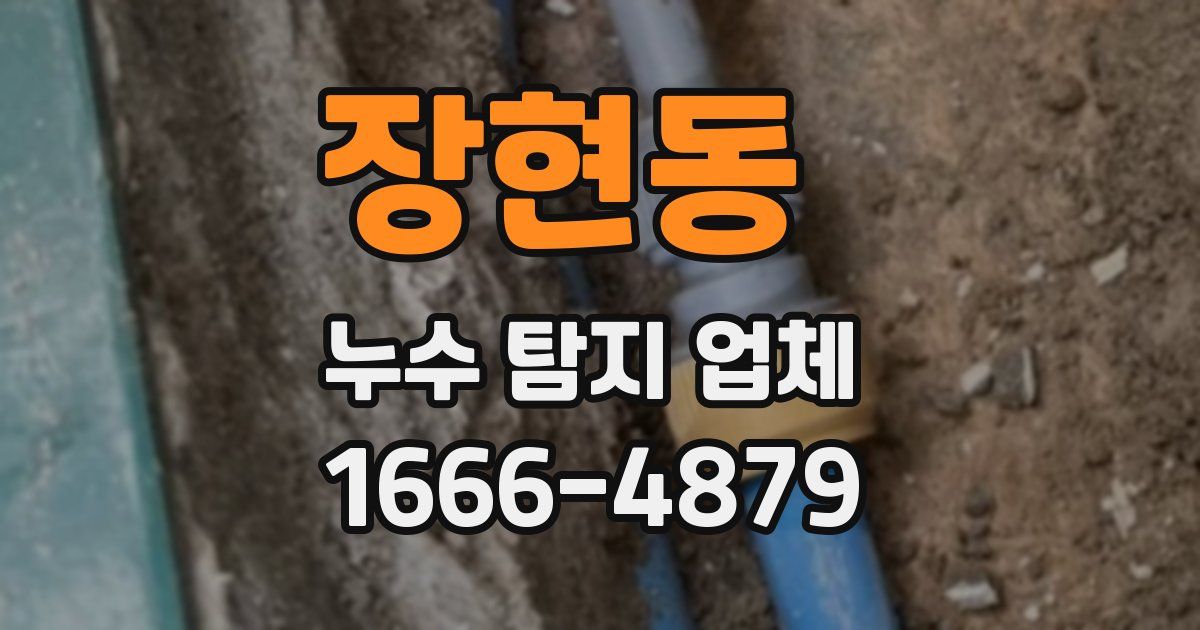 장현동 누수 탐지 업체